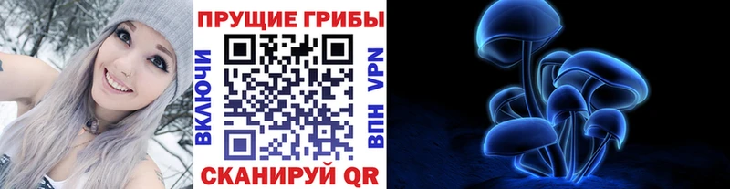 Псилоцибиновые грибы Psilocybe  Купить  Малаховка 